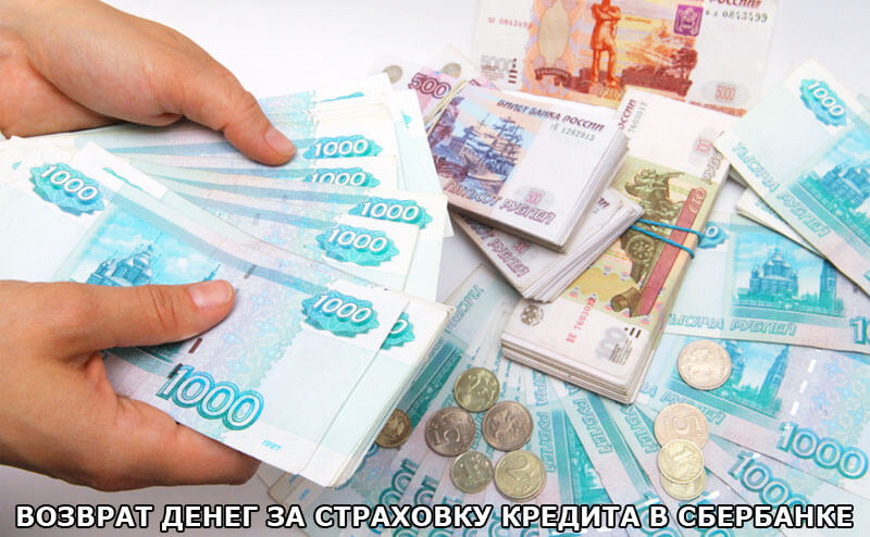 Как можно вернуть деньги за страховку по кредиту в Сбербанке